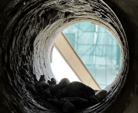 Carotte sur mur en pierre